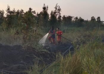 Karhutla Hanguskan ±5 Hektare Lahan di Pulau Petak, Tim Gabungan BPBD Kapuas