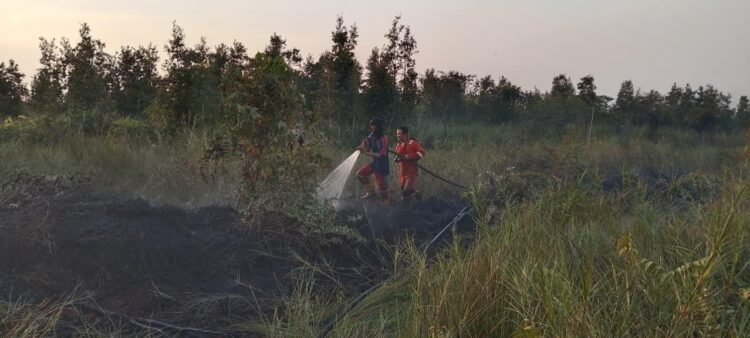 Karhutla Hanguskan ±5 Hektare Lahan di Pulau Petak, Tim Gabungan BPBD Kapuas