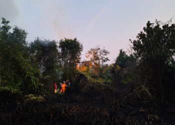 Karhutla Seluas ±10 Hektar Ancam Pemukiman di Dadahup, Tim Gabungan Berjibaku Padamkan