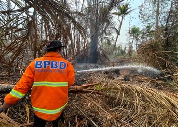 Lahan Gambut Seluas ±5 Hektare Terbakar di Basarang, Tim Gabungan BPBD Kapuas Berjibaku Lakukan Pembasahan