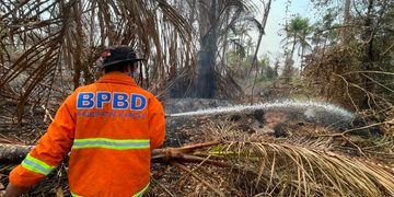 Lahan Gambut Seluas ±5 Hektare Terbakar di Basarang, Tim Gabungan BPBD Kapuas Berjibaku Lakukan Pembasahan