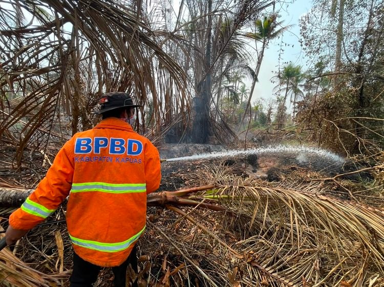 Lahan Gambut Seluas ±5 Hektare Terbakar di Basarang, Tim Gabungan BPBD Kapuas Berjibaku Lakukan Pembasahan